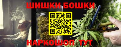 дживик Славгород