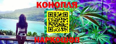 дживик Славгород