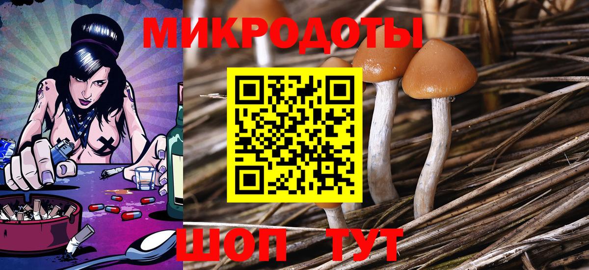 Псилоцибиновые грибы Cubensis Отрадное