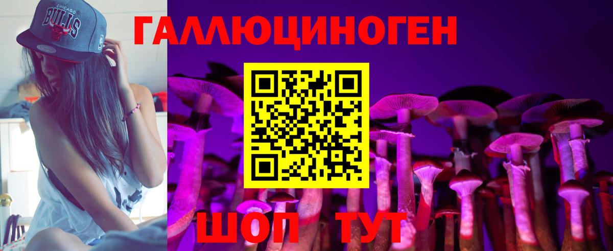 Галлюциногенные грибы MAGIC MUSHROOMS  Псилоцибиновые грибы GOLDEN TEACHER  Отрадное  Вход с VPN 